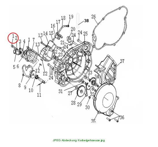 Schraube 6x25