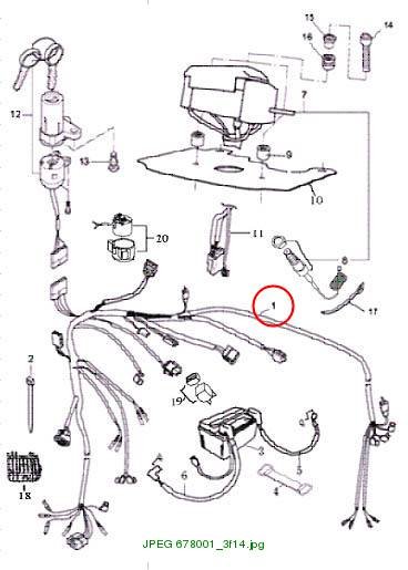 Wiring Harness