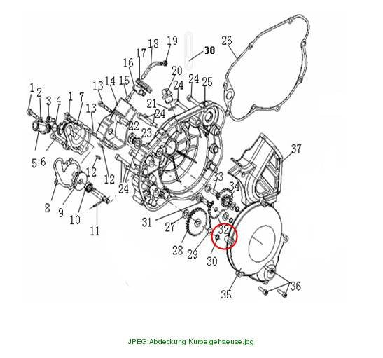 Oil pump drive gear