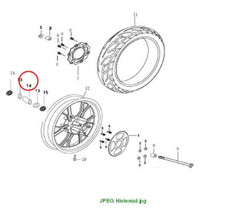 Bushing, rear left, ZZ50