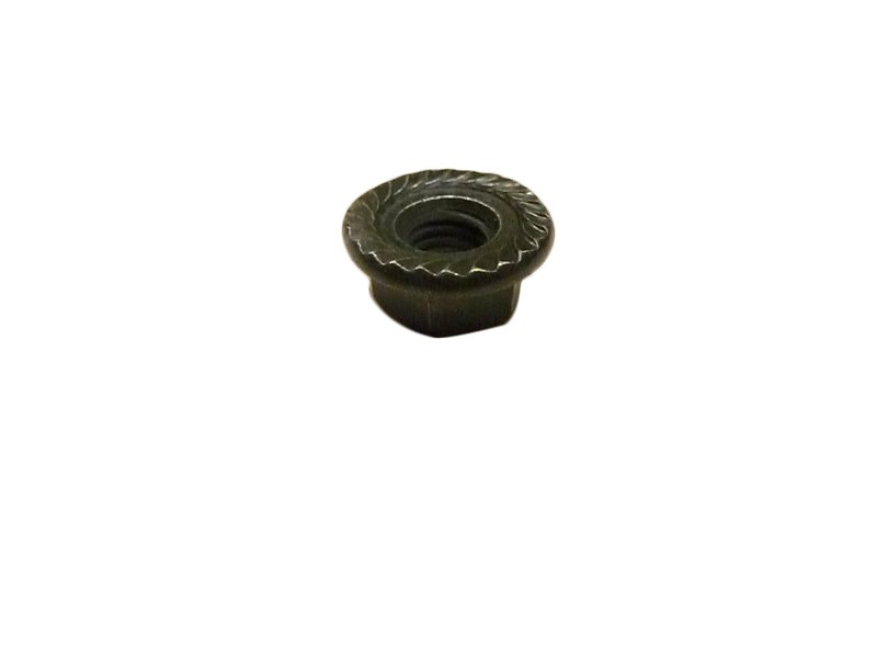 Hex Flange Nut