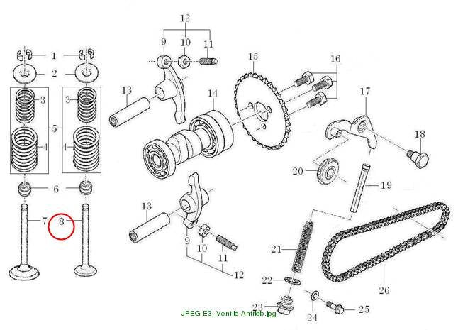 EXHAUST VALVE