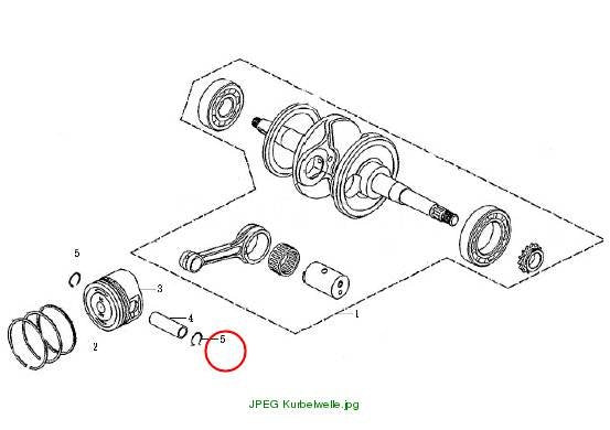 Circlip
