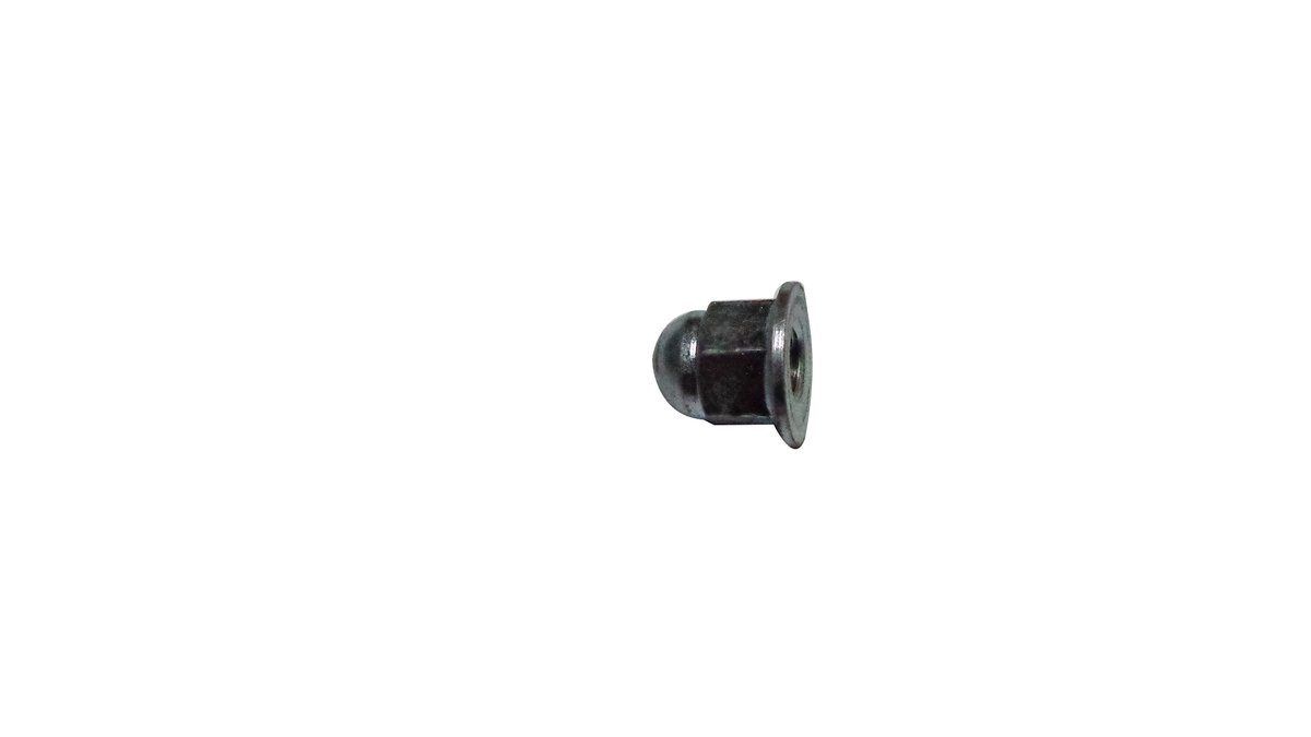 Cap Nut M6