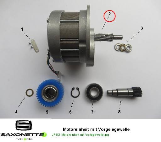 36V BLDC Motor