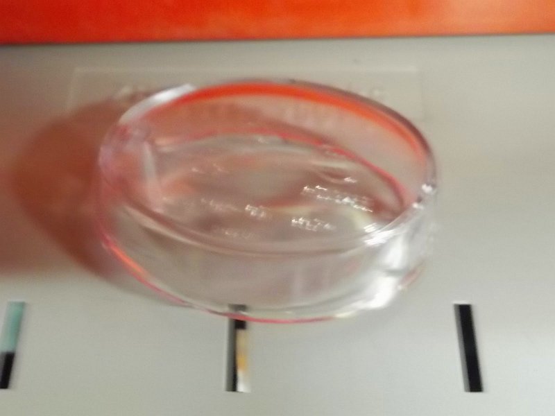 Indicator lens front right/rear left.