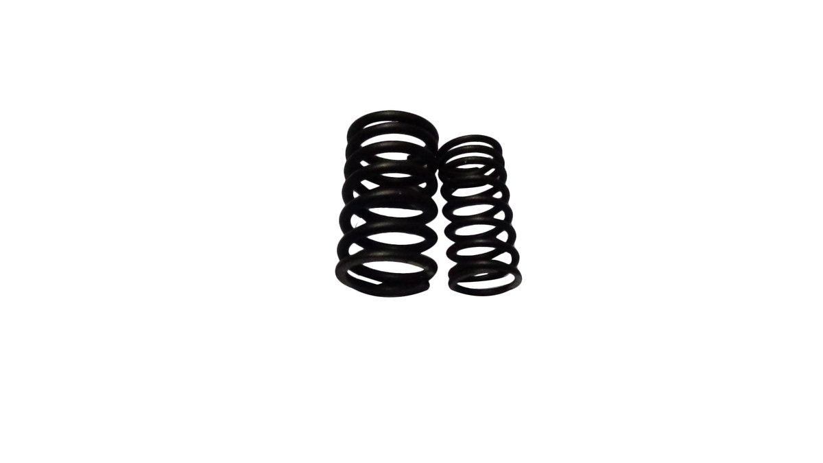 Outer Valve Spring