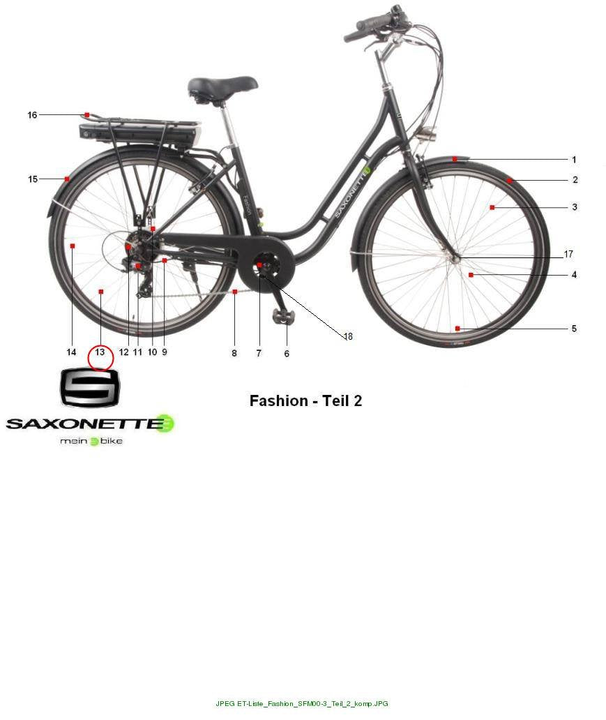 Speiche G13*256