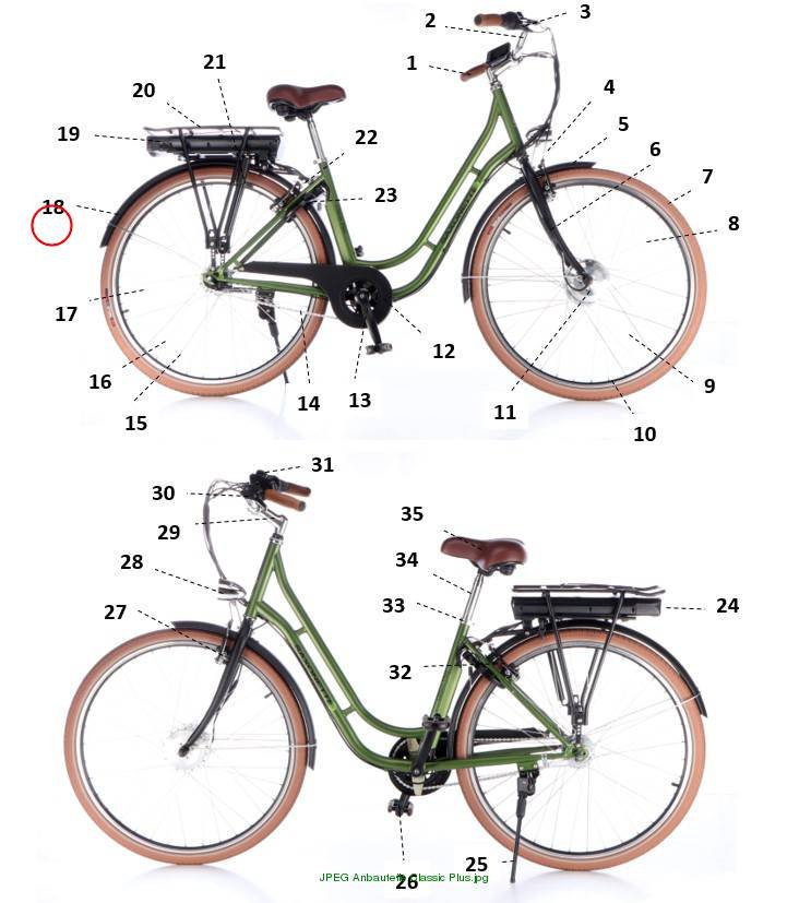 Rear mudguard Classic Plus dark green frame size 45