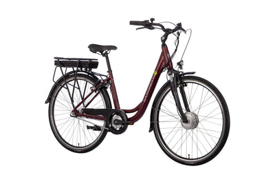 SAXONETTE Advanced Plus 3GNabeRT FG 10,4Ah VM