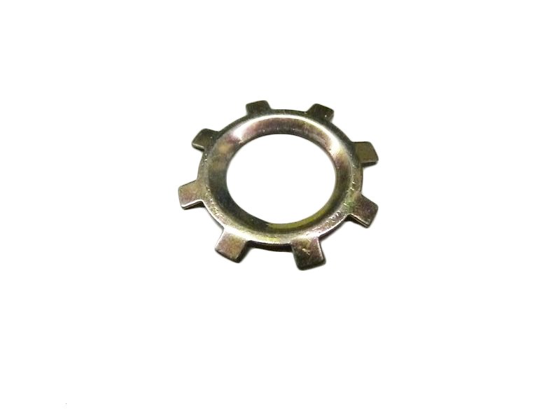 CLIP