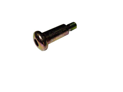Foot brake bolt