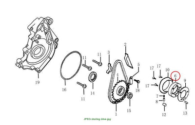 BODY CHECK ASSEMBLY