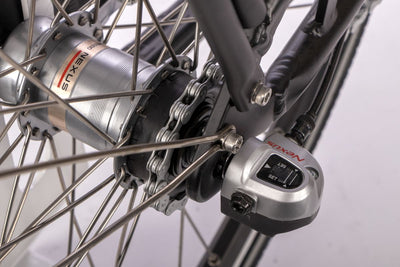 SAXONETTE Advanced Plus 3GNabeRT FG 10,4Ah VM