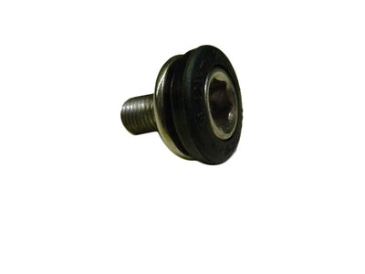 BEAST crank bolt