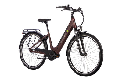 SAXONETTE Optimum Plus (Wave) 7GNabeFL FG 11,6Ah MM