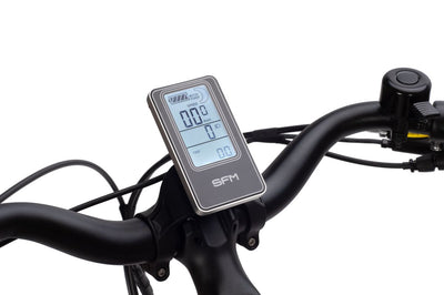 SAXONETTE Comfort Plus 4.0 7GNabeRT FG 11,6Ah VM