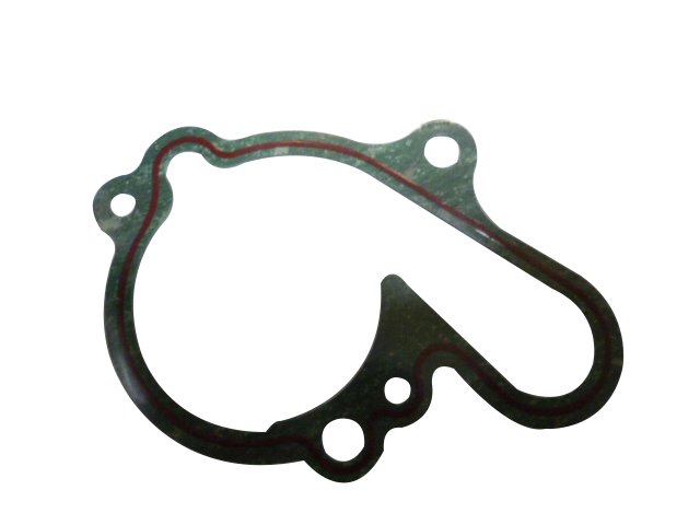 Water pump gasket