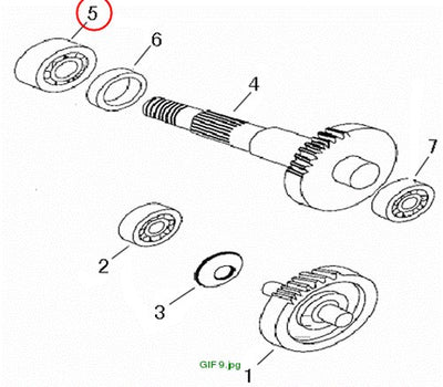Bearing 6004