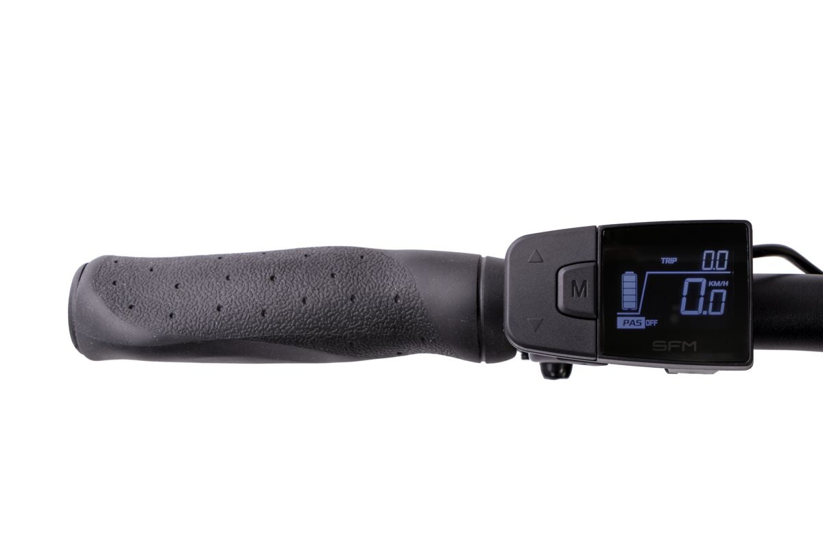 SAXONETTE Optimum Plus (Wave) 7GNabeFL FG 11,6Ah MM
