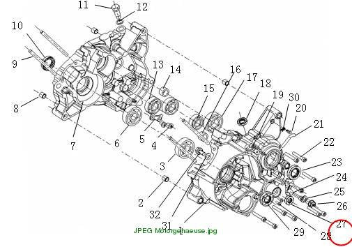 Oil seal