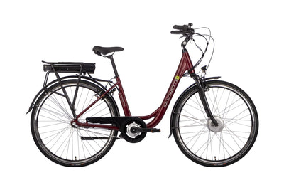 SAXONETTE Advanced Plus 3GNabeRT FG 10,4Ah VM