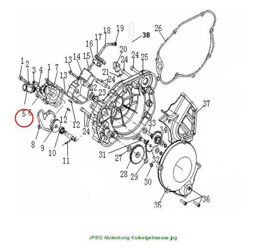 Exhaust valve seat
