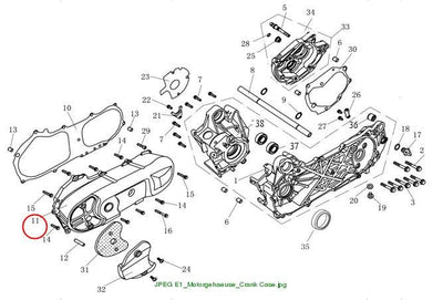 L CRANKCASE COVER, BL