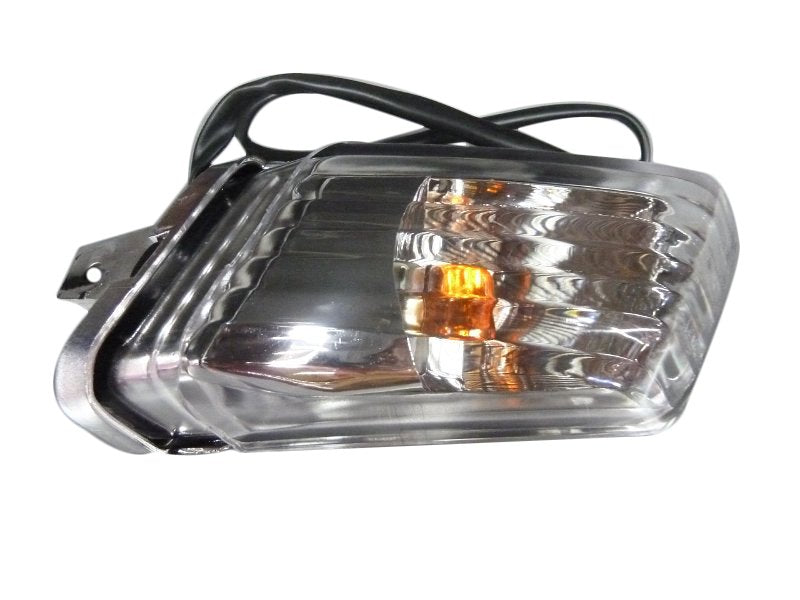 Blinker hinten links