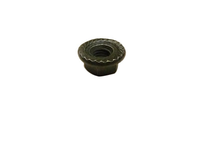 Hex Flange Nut