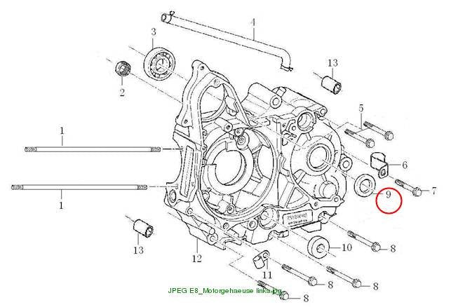 OIL SEAL 17×29×5