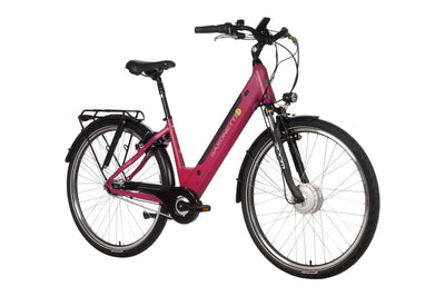 SAXONETTE Comfort Plus 4.0 7GNabeRT FG 11,6Ah VM
