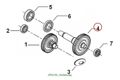 Output shaft for rear brake disc