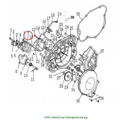 Water pump cover
