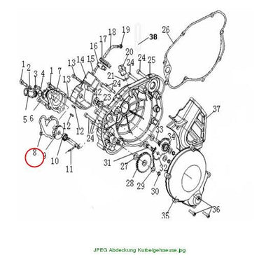 Water pump gasket