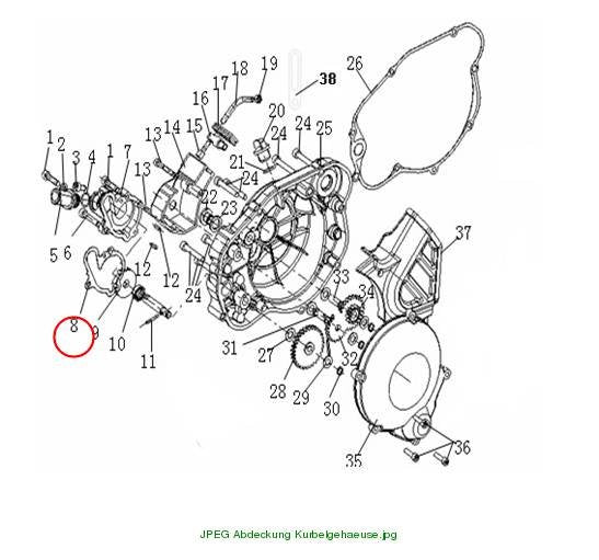 Water pump gasket