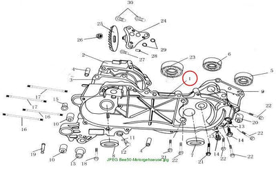 Left Crankcase