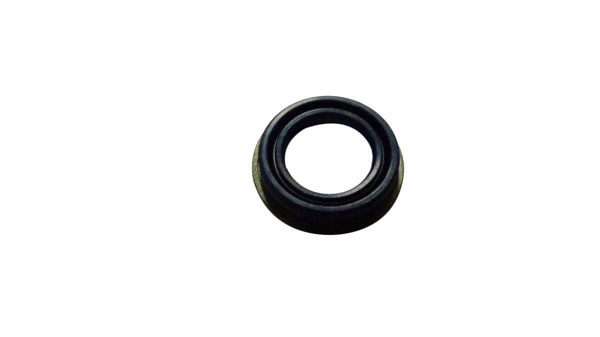 OIL SEAL 20-30/34