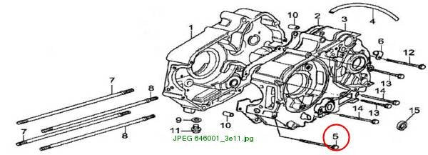 Bolt M6×55