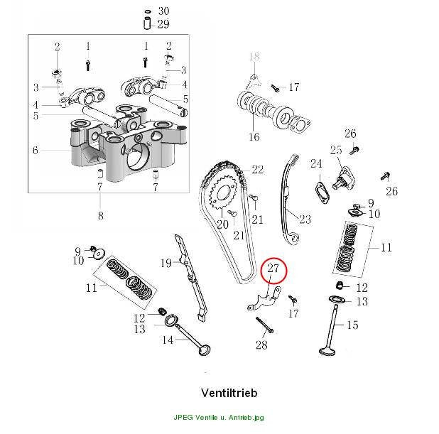 ASSEMBLY, CHAIN GUARD PLATE
