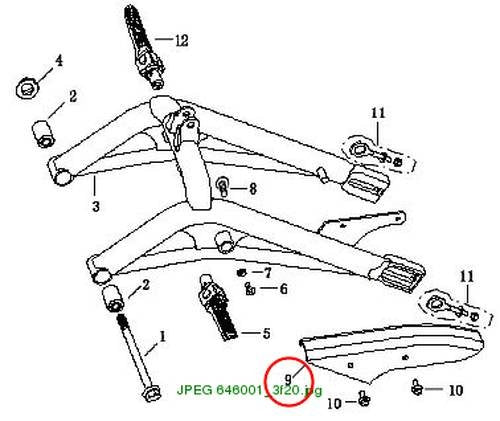 Chain Guard