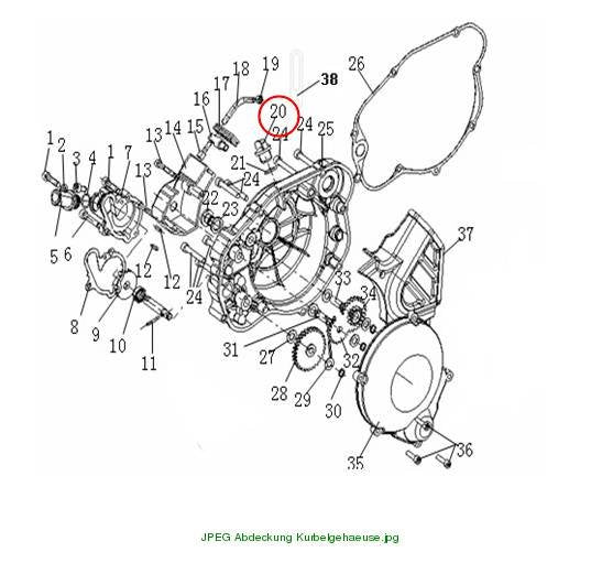 Oil drain plug cap