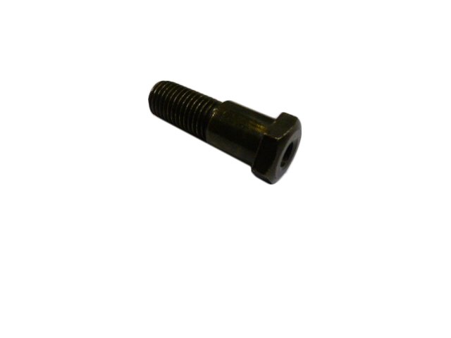 Bolt, M10×22