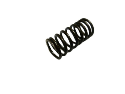 Inner Valve Spring