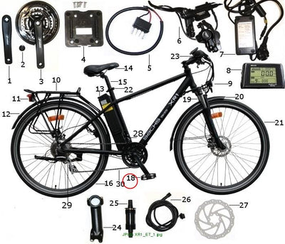 Pedal XR1