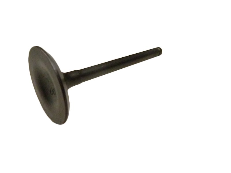Inlet Valve