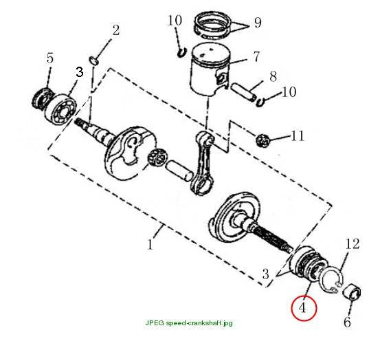 OIL SEAL ASSY 20x42/43