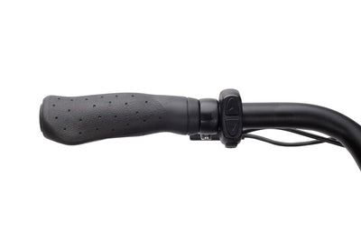 SAXONETTE Comfort Plus 4.0 7GNabeRT FG 11,6Ah VM