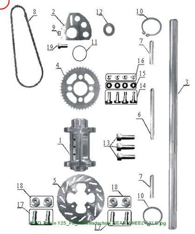 CHAIN