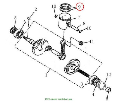 Piston ring (piece)